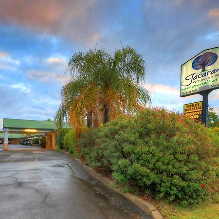 Jacaranda Country Motel Saint-George Extérieur photo