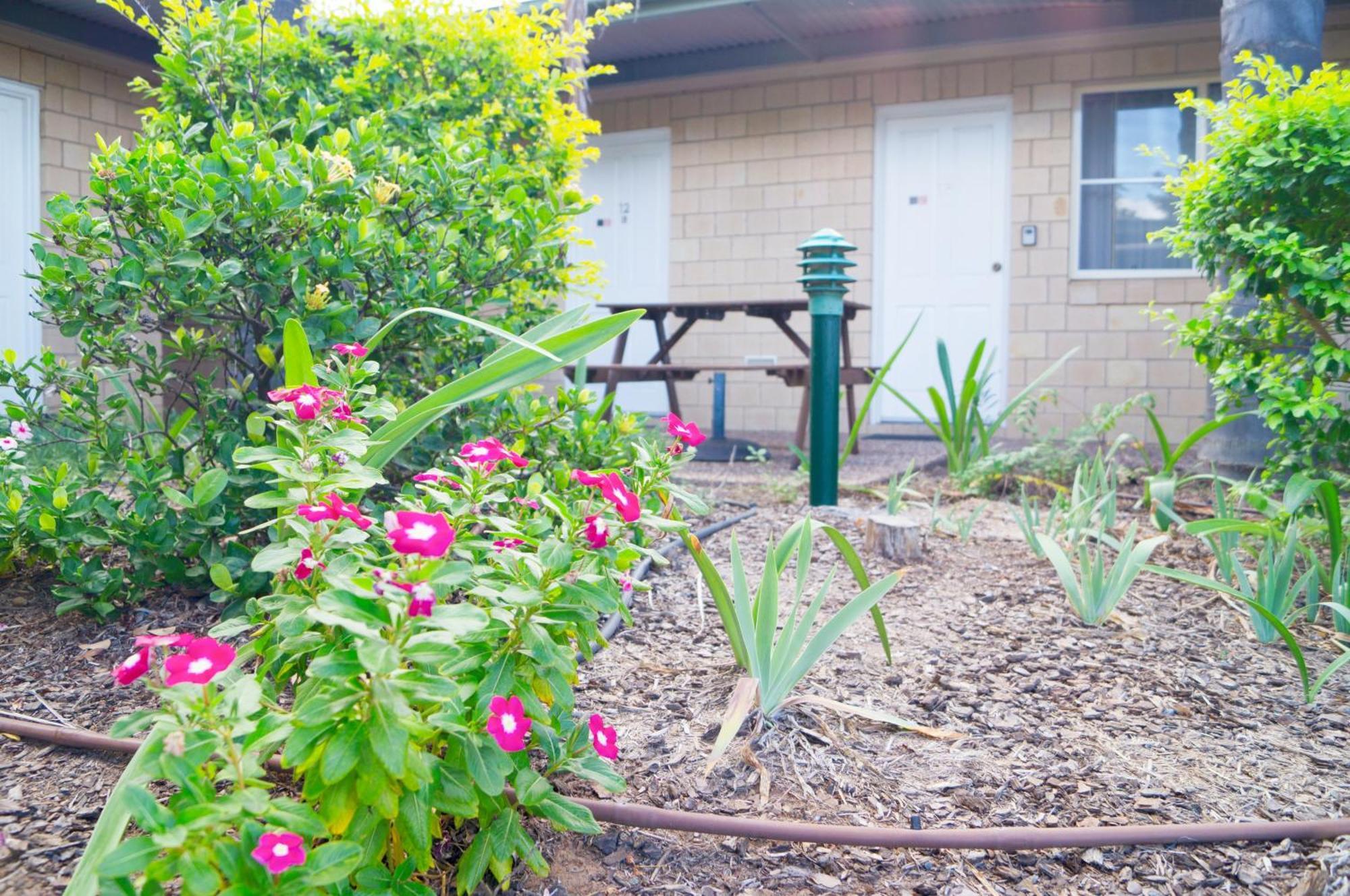 Jacaranda Country Motel Saint-George Extérieur photo